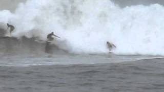Surfers on the north shore Hawaii