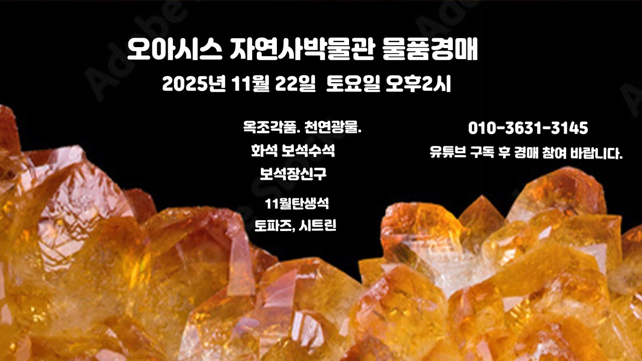 오아시스자연사박물관물품경매, 2025년 11월 22일 (토) 오후2시,11월탄생석, 토파즈, 시트린,옥,옥돌,연옥,경옥,비취 ...