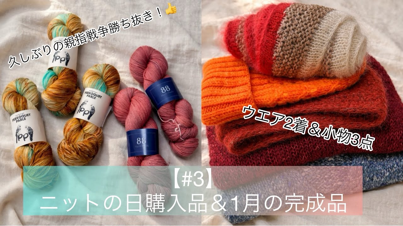 【#3】2/10ニットの日購入品5かせ紹介  |  初心者ニッター🔰でも編めました！1月の完成品5点紹介