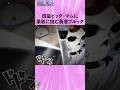 四皇ビッグ・マムに果敢に挑む勇者ブルック #onepiece #ワンピース #アニメ #雑学
