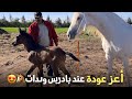  اخيرا اعز عودة عند بادريس ولدات 😍