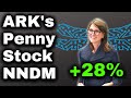 ARK Invest&#39;s Penny Stock Was Up 28% Yesterday! What They Know That You Don&#39;t! (NNDM)