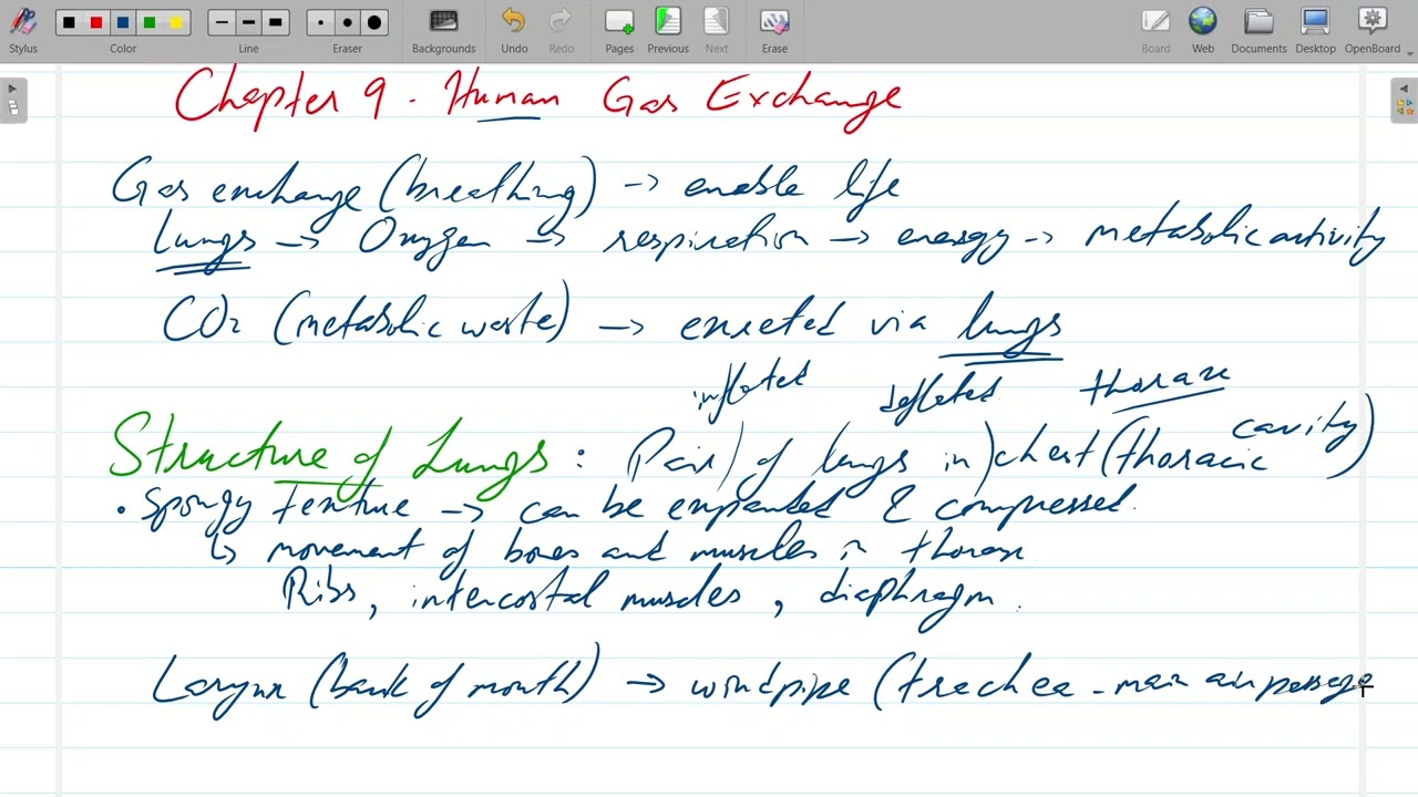 Biology - IGCSE/O Level - Session 2025-26 -Class # 17