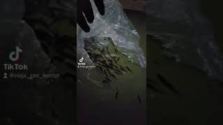 San Francisco de #Alfarcito Pueblo Auténtico que preserva sus tradiciones.#Cochinoca#jujuyargentina