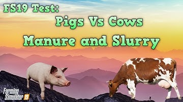 FS19 Test - Pigs vs Cows - Manure and Slurry - Farming Simulator 19 - PS4