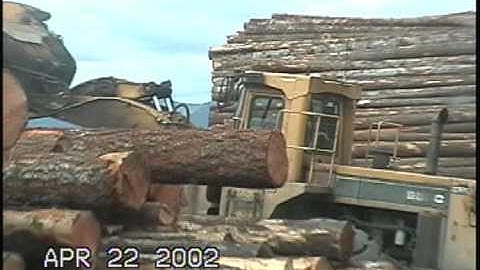 Unloading logs at saw mill