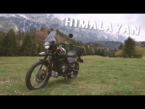 Video: Himalayan