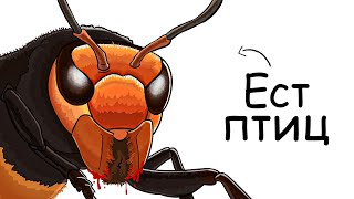 картинка: Ты – Гигантский Шершень (И ЭТО ВСЯ ТВОЯ ЖИЗНЬ)
