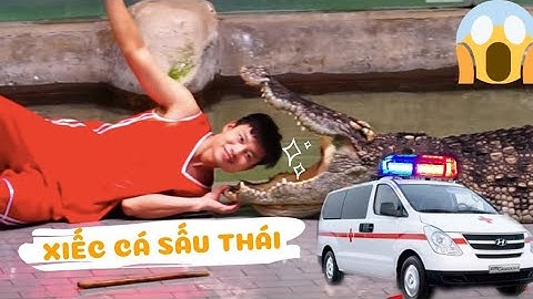Xiếc cá sấu và cái kết đắng cho chàng trai #!Crocodile circus and bitter ending for young men