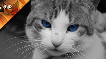 How To Do Colour Isolation (Colour Splash) With GIMP