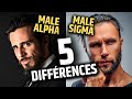 Male alpha vs male sigma  les 5 diffrences