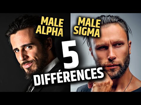Vidéo: Le mâle alpha est un leader né