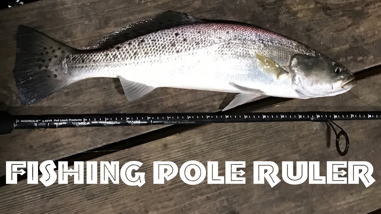 🐠Fishing Pole Ruler Review Install for Pike Fish, Redfish, Trout