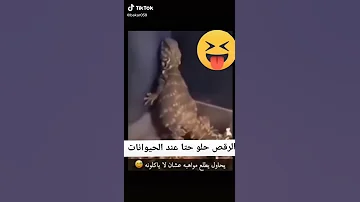 اتفرج على صافيناز وهى ترقص على احلى الانغام 