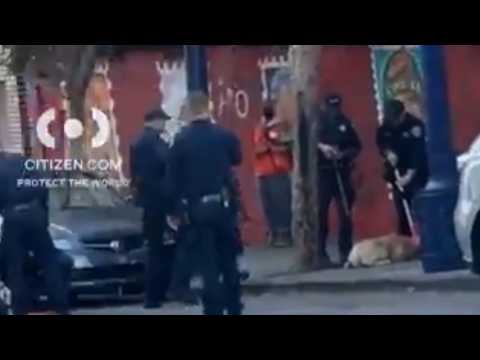 Person seriously injured in San Francisco's Tenderloin dog attack; dog dead