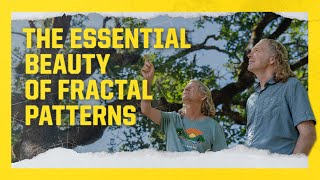 Fractals: How we can look to nature to improve our mental health