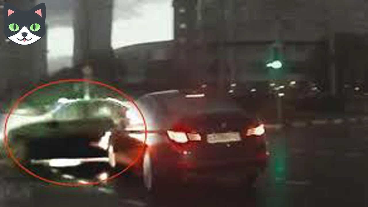 curiosidades que no sabias del cuerpo humano 🔴 5 AUTOS FANTASMAS CAPTADOS EN CÁMARA | TELETRANSPORTACIONES REALES DE AUTOS