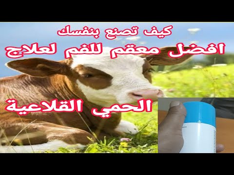 كيف تصنع بنفسك غسول و معقم للفم يعالج الحمي القلاعية بثلاث طرق مختلفة قوية التأثير د السيد الطوخي