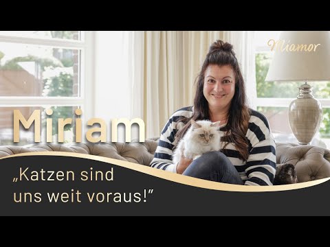 Weil ich meine Katze liebe … Miriam und ihre Heiligen Birmas | Miamor