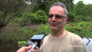 Mosquito Control Warwick RI | 401-287-8056