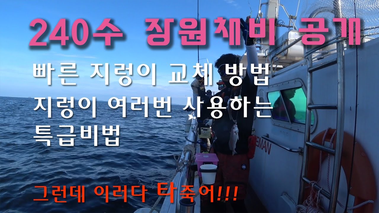 백조기 260수 잡으신 장원 조사님의 채비,운용법 공개 / 백조기 낚시 꿀팁 대 방출~ #백조기 - YouTube