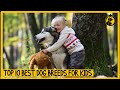 Top 10 best dog breeds for kids  kidfriendly dog breeds