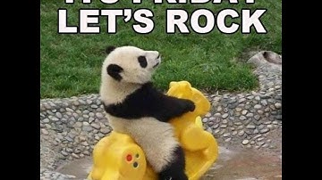 The Division - Rogues, Hackers & Hunting Compilation