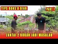 Suburnya programan bonsai di atas dak cor  tips dari bonsd dian part 1