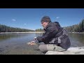 Spring 2021 Fly Fishing on the Athabasca River