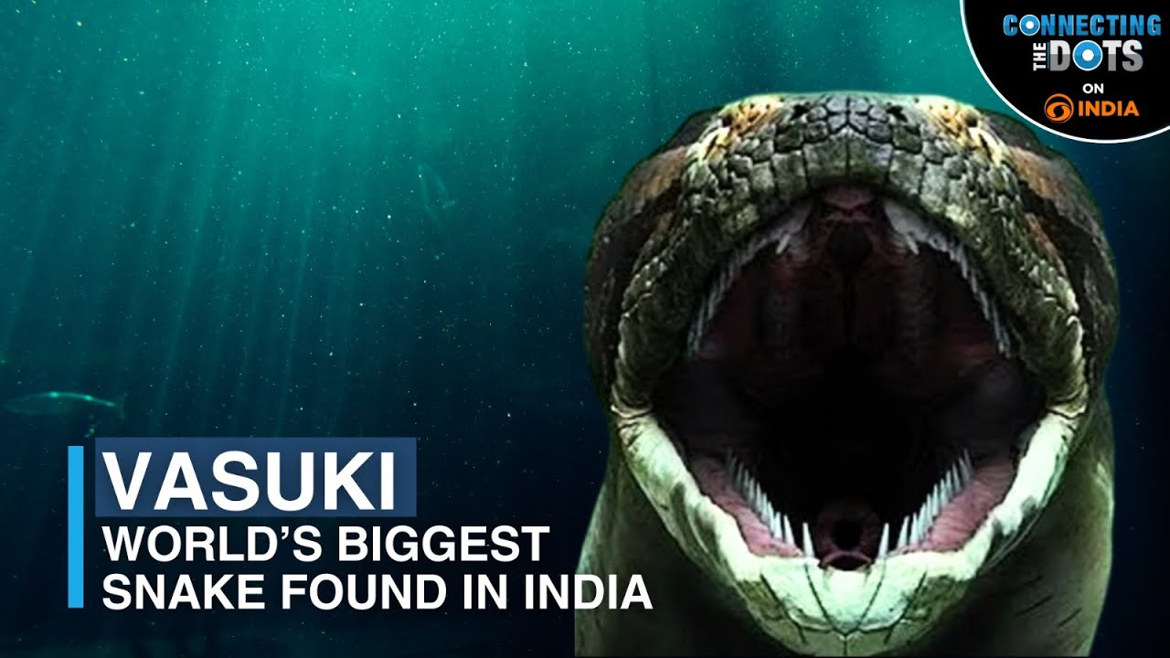 क्या है वासुकि नाग का रहस्य - Insane Discovery in India | World's Largest Snake Vasuki Indicus