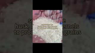 How the Industrial Rice Milling Machine Works  #rice  #ricemill  #machine