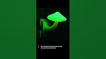 #1 LED Mushroom Night Light Lamp with Dusk to Dawn Sensor,Plug in LED Bed Cute Mushroom Nightligh