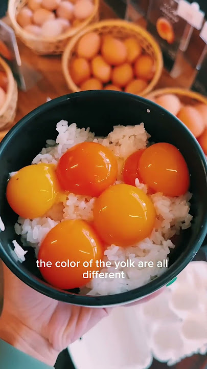 AYCE raw egg buffet in Tokyo