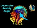 How League of Legends Affects Your Emotional Circuitry