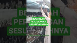 Wanita Hebat, Panen Jamur Sendirian Dengan Ukuran Kumbung Besar