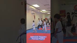 Taekwondo Taegeuk Chapter 6 Poomsae #taekwondo #mastertaekwondo #greatneck #태극6장