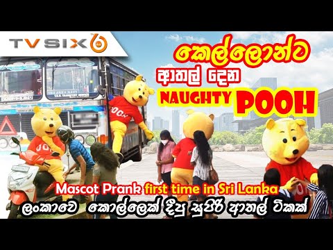 NAUGHTY POOH prank | Mascot prank First time in Sri Lanka | teddy bare prank