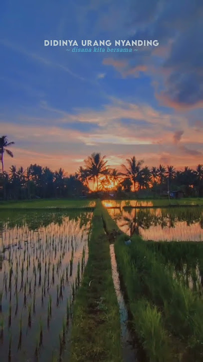 yang lagi trend 2025 #amzy #engkang #lagusunda #viralvideo