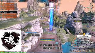 [블레이드앤소울] BladeNSoul BNS 전장 6vs6 PVP 천도사 200809