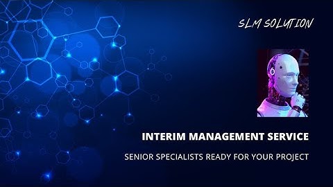 Interim Management Service