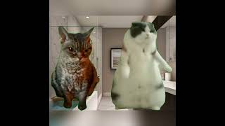 Eu E Minha Prima Tomado Banho E Ela Dançando No Banheiro Kkkkkk