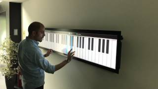 DISPLAX Multitouch PCAP Stretched 86 LCD Display