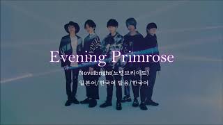 Novelbright - Evening Primrose(ツキミソウ,달맞이꽃) [일본어가사/발음/한국어번역]