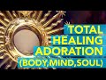 Total healing eucharistic adoration body mind soul fr martin  chittadiyil  tabor ashram mumbai