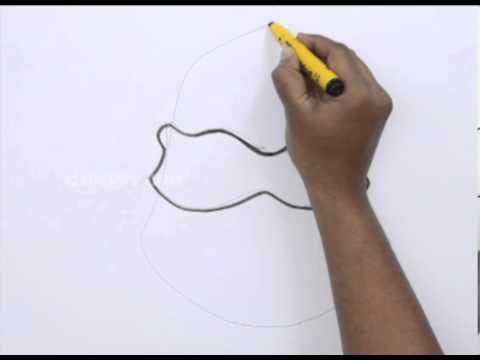 How to Draw a Ninja Turtle - YouTube