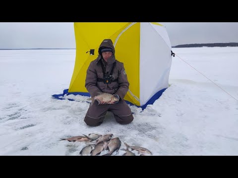 ЗАКРЫТИЕ СЕЗОНА ЗИМНЕЙ РЫБАЛКИ🎣 НА ЛЕЩА 2022|ЯУЗСКОЕ ВОДОХРАНИЛИЩЕ-ПУДЫШИ|