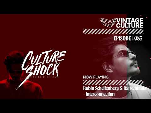 Vintage Culture - Culture Shock #084