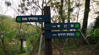 탑골생태공원 영상