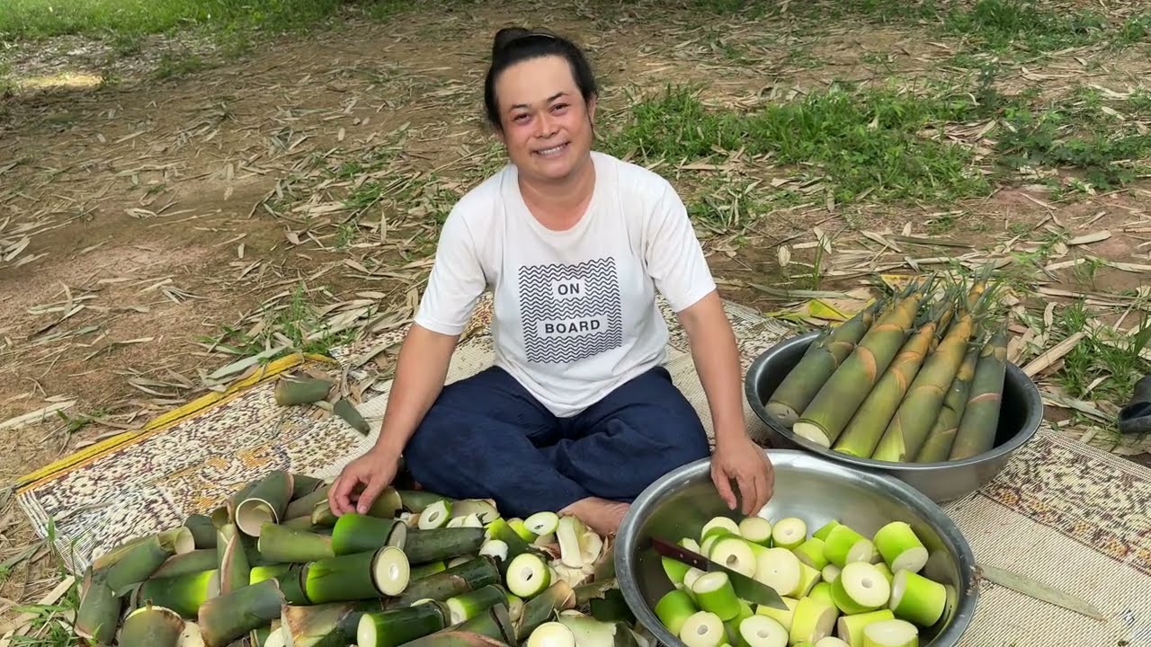 หน่อไม้สายพันธุ์นี้ออกหน่อทั้งปี ตัดได้เกือบทุกอาทิตย์ และออกได้ทุกฤดูกาล