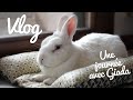 Une journe avec mon lapin giada